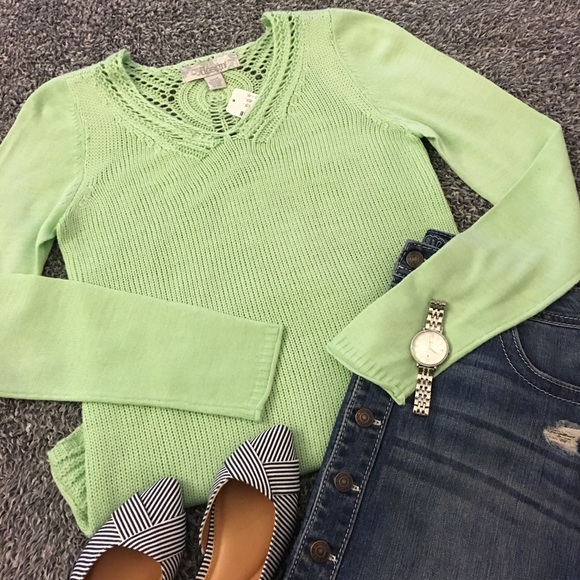By Design Sweaters Nwt Mint Green Sweater By Design Poshmark